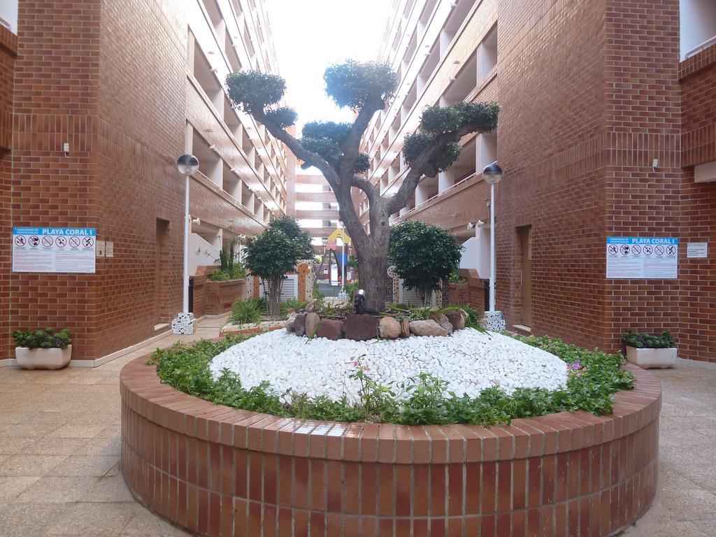 Playa Coral En Marina D'Or Appartement Oropesa del Mar Buitenkant foto