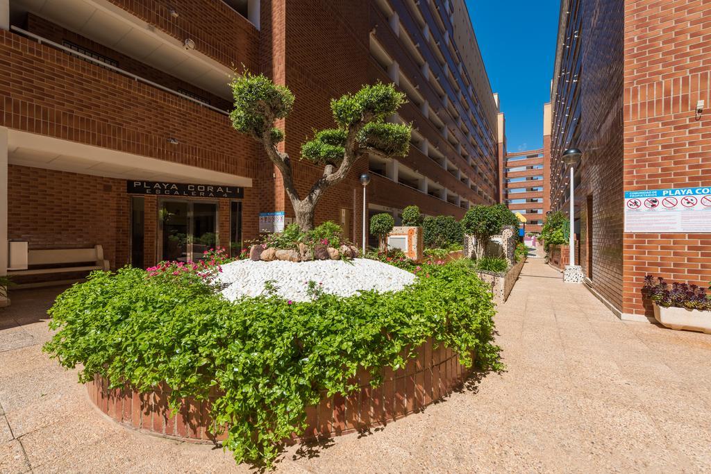 Playa Coral En Marina D'Or Appartement Oropesa del Mar Buitenkant foto